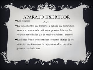 APARATO EXCRETOR Los residuos De los alimentos que tomamos y del aire que respiramos, tomamos elementos beneficiosos, pero también quedan residuos perjudiciales que es preciso expulsar al exterior.  Las heces focales que contienen los restos inútiles de los alimentos que tomamos. Se expulsan desde el intestino grueso a través del ano. 