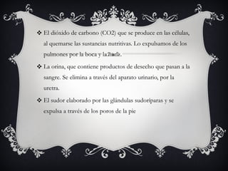 El dióxido de carbono (CO2) que se produce en las células, al quemarse las sustancias nutritivas. Lo expulsamos de los pulmones por la boca y la nariz. La orina, que contiene productos de desecho que pasan a la sangre. Se elimina a través del aparato urinario, por la uretra. El sudor elaborado por las glándulas sudoríparas y se expulsa a través de los poros de la pie 