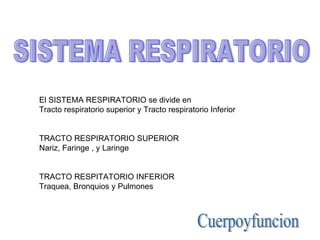 SISTEMA RESPIRATORIO El SISTEMA RESPIRATORIO se divide en  Tracto respiratorio superior y Tracto respiratorio Inferior TRACTO RESPIRATORIO SUPERIOR Nariz, Faringe , y Laringe TRACTO RESPITATORIO INFERIOR Traquea, Bronquios y Pulmones Cuerpoyfuncion 