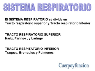 SISTEMA RESPIRATORIO El SISTEMA RESPIRATORIO se divide en  Tracto respiratorio superior y Tracto respiratorio Inferior TRACTO RESPIRATORIO SUPERIOR Nariz, Faringe , y Laringe TRACTO RESPITATORIO INFERIOR Traquea, Bronquios y Pulmones Cuerpoyfuncion 