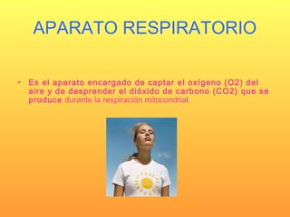 APARATO RESPIRATORIO
• Es el aparato encargado de captar el oxígeno (O2) del
aire y de desprender el dióxido de carbono (CO2) que se
produce durante la respiración mitocondrial.
 