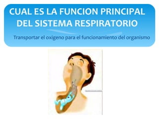 CUAL ES LA FUNCION PRINCIPAL
 DEL SISTEMA RESPIRATORIO
Transportar el oxigeno para el funcionamiento del organismo
 