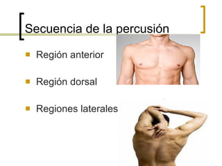Secuencia de la percusión Región anterior  Región dorsal  Regiones laterales 