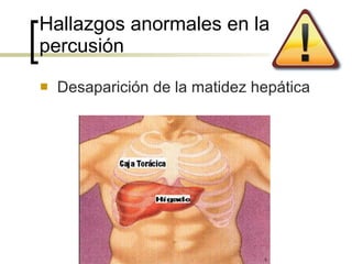 Hallazgos anormales en la percusión  Desaparición de la matidez hepática 