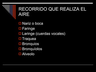 RECORRIDO QUE REALIZA EL AIRE Nariz o boca Faringe Laringe (cuerdas vocales) Traquea Bronquios Bronquíolos Alveolo 