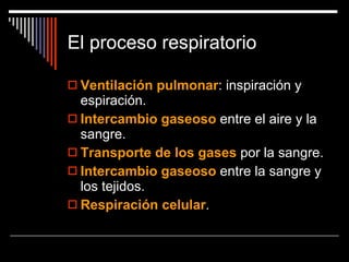 El proceso respiratorio Ventilación pulmonar : inspiración y espiración. Intercambio gaseoso  entre el aire y la sangre. Transporte de los gases  por la sangre. Intercambio gaseoso  entre la sangre y los tejidos. Respiración celular . 