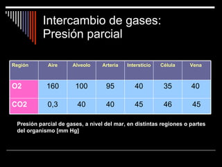 Intercambio de gases:  Presión parcial Presión parcial de gases, a nivel del mar, en distintas regiones o partes del organismo [mm Hg]   45 46 45 40 40 0,3 CO2 40  35 40 95 100 160 O2 Vena  Célula Intersticio Arteria Alveolo Aire Región 