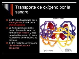 Transporte de oxígeno por la sangre El 97 % es trasportado por la  Hemoglobina , formándose  Oxihemoglobina La hemoglobina contiene cuatro átomos de hierro en forma de  ión ferroso , y cada uno de ellos se une de forma reversible a una molécula de oxígeno. El 3 % restante se transporta  disuelto en el plasma sanguíneo 