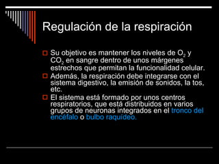 Regulación de la respiración Su objetivo es mantener los niveles de O 2  y CO 2  en sangre dentro de unos márgenes estrechos que permitan la funcionalidad celular.  Además, la respiración debe integrarse con el sistema digestivo, la emisión de sonidos, la tos, etc. El sistema está formado por unos centros respiratorios, que está distribuidos en varios grupos de neuronas integrados en el  tronco del encéfalo  o  bulbo raquídeo. 