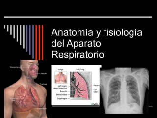 Anatomía y fisiología del Aparato Respiratorio 