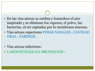  En las vías aéreas se entibia y humedece el aire
  inspirado y se eliminan los vapores, el polvo, las
  bacterias, al ser captadas por la membrana mucosa.
 Vías aéreas superiores FOSAS NASALES , CAVIDAD
  ORAL , FARINGE.

 Vías aéreas inferiores-
 LARINGETRÁQUEA-BRONQUIOS--
 