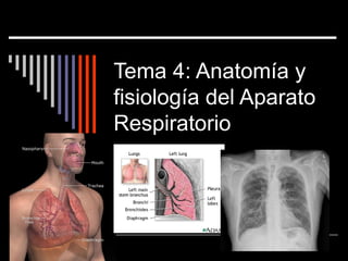 Tema 4: Anatomía y
fisiología del Aparato
Respiratorio
 