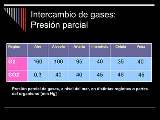 Intercambio de gases:
           Presión parcial

Región      Aire      Alveolo     Arteria   Intersticio   Célula   Vena



O2          160        100         95          40          35       40

CO2         0,3         40         40          45          46       45

 Presión parcial de gases, a nivel del mar, en distintas regiones o partes
 del organismo [mm Hg]
 