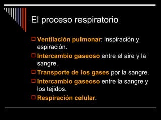 El proceso respiratorio

 Ventilación pulmonar: inspiración y
  espiración.
 Intercambio gaseoso entre el aire y la
  sangre.
 Transporte de los gases por la sangre.
 Intercambio gaseoso entre la sangre y
  los tejidos.
 Respiración celular.
 