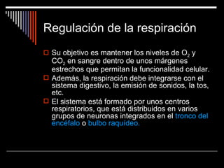 Regulación de la respiración
 Su objetivo es mantener los niveles de O2 y
  CO2 en sangre dentro de unos márgenes
  estrechos que permitan la funcionalidad celular.
 Además, la respiración debe integrarse con el
  sistema digestivo, la emisión de sonidos, la tos,
  etc.
 El sistema está formado por unos centros
  respiratorios, que está distribuidos en varios
  grupos de neuronas integrados en el tronco del
  encéfalo o bulbo raquídeo.
 