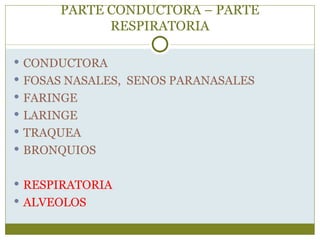 PARTE CONDUCTORA – PARTE
            RESPIRATORIA

 CONDUCTORA
 FOSAS NASALES, SENOS PARANASALES
 FARINGE
 LARINGE
 TRAQUEA
 BRONQUIOS


 RESPIRATORIA
 ALVEOLOS
 