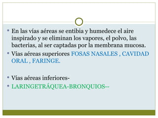  En las vías aéreas se entibia y humedece el aire
  inspirado y se eliminan los vapores, el polvo, las
  bacterias, al ser captadas por la membrana mucosa.
 Vías aéreas superiores FOSAS NASALES , CAVIDAD
  ORAL , FARINGE.

 Vías aéreas inferiores-
 LARINGETRÁQUEA-BRONQUIOS--
 