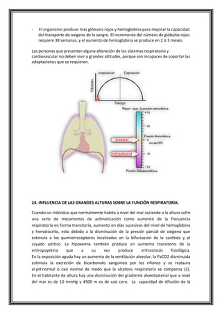 - El organismo produce más glóbulos rojos y hemoglobina para mejorar la capacidad
del transporte de oxígeno de la sangre. El incremento del número de glóbulos rojos
requiere 38 semanas, y el aumento de hemoglobina se produce en 2 ó 3 meses.
Las personas que presentan alguna alteración de los sistemas respiratorio y
cardiovascular no deben vivir a grandes altitudes, porque son incapaces de soportar las
adaptaciones que se requieren.
24. INFLUENCIA DE LAS GRANDES ALTURAS SOBRE LA FUNCIÓN RESPIRATORIA.
Cuando un individuo que normalmente habita a nivel del mar asciende a la altura sufre
una serie de mecanismos de aclimatización como aumento de la frecuencia
respiratoria en forma transitoria, aumento en días sucesivos del nivel de hemoglobina
y hematocrito, esto debido a la disminución de la presión parcial de oxígeno que
estimula a los quimiorreceptores localizados en la bifurcación de la carótida y el
cayado aórtico. La hipoxemia también produce un aumento transitorio de la
eritropoyetina que a su vez produce eritrositosis fisiológica.
En la exposición aguda hay un aumento de la ventilación alveolar, la PaCO2 disminuida
estimula la excreción de bicarbonato sanguíneo por los riñones y se restaura
el pH normal o casi normal de modo que la alcalosis respiratoria se compensa (2).
En el habitante de altura hay una disminución del gradiente alveoloaterial que a nivel
del mar es de 10 mmHg y 4500 m es de casi cero. La capacidad de difusión de la
 