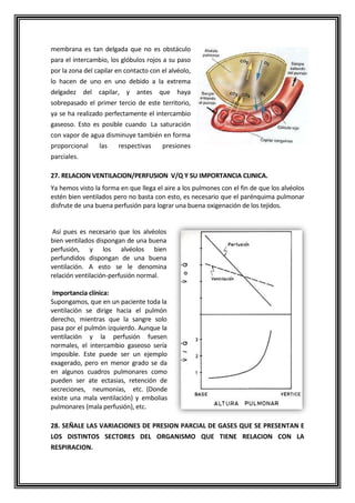 membrana es tan delgada que no es obstáculo
para el intercambio, los glóbulos rojos a su paso
por la zona del capilar en contacto con el alvéolo,
lo hacen de uno en uno debido a la extrema
delgadez del capilar, y antes que haya
sobrepasado el primer tercio de este territorio,
ya se ha realizado perfectamente el intercambio
gaseoso. Esto es posible cuando La saturación
con vapor de agua disminuye también en forma
proporcional las respectivas presiones
parciales.
27. RELACION VENTILACION/PERFUSION V/Q Y SU IMPORTANCIA CLINICA.
Ya hemos visto la forma en que llega el aire a los pulmones con el fin de que los alvéolos
estén bien ventilados pero no basta con esto, es necesario que el parénquima pulmonar
disfrute de una buena perfusión para lograr una buena oxigenación de los tejidos.
Así pues es necesario que los alvéolos
bien ventilados dispongan de una buena
perfusión, y los alvéolos bien
perfundidos dispongan de una buena
ventilación. A esto se le denomina
relación ventilación-perfusión normal.
Importancia clínica:
Supongamos, que en un paciente toda la
ventilación se dirige hacia el pulmón
derecho, mientras que la sangre solo
pasa por el pulmón izquierdo. Aunque la
ventilación y la perfusión fuesen
normales, el intercambio gaseoso sería
imposible. Este puede ser un ejemplo
exagerado, pero en menor grado se da
en algunos cuadros pulmonares como
pueden ser ate ectasias, retención de
secreciones, neumonías, etc. (Donde
existe una mala ventilación) y embolias
pulmonares (mala perfusión), etc.
28. SEÑALE LAS VARIACIONES DE PRESION PARCIAL DE GASES QUE SE PRESENTAN E
LOS DISTINTOS SECTORES DEL ORGANISMO QUE TIENE RELACION CON LA
RESPIRACION.
 