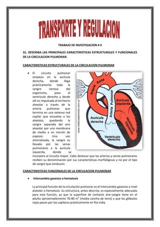 TRABAJO DE INVESTIGACION # 4
31. DESCRIBA LAS PRINCIPALES CARACTERISTICAS ESTRUCTURALES Y FUNCIONALES
DE LA CIRCULACION PULMONAR.
CARACTERISTICAS ESTRUCTURALES DE LA CIRCULACION PULMONAR
El circuito pulmonar
empieza en la aurícula
derecha, donde llega
prácticamente toda la
sangre venosa del
organismo, pasa al
ventrículo derecho y desde
allí es impulsada al territorio
alveolar a través de la
arteria pulmonar que
termina en una extensa red
capilar que envuelve a los
alvéolos, quedando la
sangre separada del aire
alveolar por una membrana
de medio a un micrón de
espesor. Una vez
arterializada, la sangre es
llevada por las venas
pulmonares a la aurícula
izquierda, donde se
incorpora al circuito mayor. Cabe destacar que las arterias y venas pulmonares
reciben su denominación por sus características morfológicas y no por el tipo
de sangre que conducen.
CARACTERISTICAS FUNCIONALES DE LA CIRCULACION PULMONAR
Intercambio gaseoso o hematosis
La principal función de la circulación pulmonar es el intercambio gaseoso a nivel
alveolar o hematosis. Su estructura, antes descrita, es especialmente adecuada
para esta función, ya que la superficie de contacto aire-sangre tiene en el
adulto aproximadamente 70-80 m2
(media cancha de tenis) y que los glóbulos
rojos pasan por los capilares prácticamente en fila india.
 