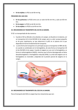 En los tejidos: la PO2 es de 40 mm Hg.
PRESIONES DEL GAS CO2:
En los pulmones: la PCO2 entra con un valor de 46 mm Hm, y sale con 40 mm
Hm.
En la sangre: la PCO2 es de 46 mm Hm.
En los tejidos: la PCO2 es de 40 mm Hm.
33. MECANISMOS DE TRANSPORTE DEL O2 EN LA SANGRE.
El O2 es transportado de dos maneras:
1. Cuando el O2 se difunde a los alveolos a la sangre, se disuelve en el plasma, así
se transportan 0,3 ml de O2/100 ml de sangre, pero su valor aunque pequeño
es de gran importancia, ya que determina la pO2 en el plasma de la que
dependerá la forma fundamental de transporte.
2. La otra forma de transporte es la principal ya que se transportan el 98% de O2,
es cuando es combinado con la hemoglobina, de esta forma se transportan 20
ml de O2/100 ml de sangre. Cuando el oxigeno se une con la hemoglobina, se
forma la oxihemoglobina (HbO2), mientras que la forma desoxigenada se llama
desoxihemoglobina o hemoglobina reducida (HHb). La unión del oxigeno con la
hemoglobina es reversible y depende de la presión parcial de oxigeno en la
sangre.
34. MECANISMOS DE TRASNPORTE DEL CO2 EN LA SANGRE.
Para el transporte del CO2 en sangre hay tres mecanismos que son:
 