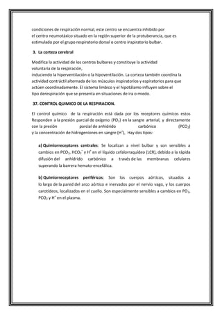 condiciones de respiración normal, este centro se encuentra inhibido por
el centro neumotáxico situado en la región superior de la protuberancia, que es
estimulado por el grupo respiratorio dorsal o centro inspiratorio bulbar.
3. La corteza cerebral
Modifica la actividad de los centros bulbares y constituye la actividad
voluntaria de la respiración,
induciendo la hiperventilación o la hipoventilación. La corteza también coordina la
actividad contráctil alternada de los músculos inspiratorios y espiratorios para que
actúen coordinadamente. El sistema límbico y el hipotálamo influyen sobre el
tipo derespiración que se presenta en situaciones de ira o miedo.
37. CONTROL QUIMICO DE LA RESPIRACION.
El control químico de la respiración está dada por los receptores químicos estos
Responden a la presión parcial de oxígeno (PO2) en la sangre arterial, y directamente
con la presión parcial de anhídrido carbónico (PCO2)
y la concentración de hidrogeniones en sangre (H+
), Hay dos tipos:
a) Quimiorreceptores centrales: Se localizan a nivel bulbar y son sensibles a
cambios en PCO2, HCO3
–
y H+
en el líquido cefalorraquídeo (LCR), debido a la rápida
difusión del anhídrido carbónico a través de las membranas celulares
superando la barrera hemato-encefálica.
b) Quimiorreceptores periféricos: Son los cuerpos aórticos, situados a
lo largo de la pared del arco aórtico e inervados por el nervio vago, y los cuerpos
carotídeos, localizados en el cuello. Son especialmente sensibles a cambios en PO2,
PCO2 y H+
en el plasma.
 