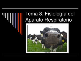 Tema 8: Fisiología del
Aparato Respiratorio
 