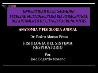 Dr. Pedro Alonso Pérez
Por:
Jose Edgardo Moreno
 