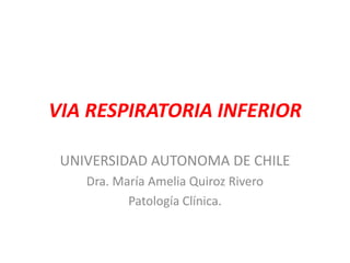 VIA RESPIRATORIA INFERIOR
UNIVERSIDAD AUTONOMA DE CHILE
Dra. María Amelia Quiroz Rivero
Patología Clínica.
 