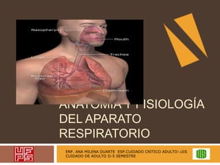 ANATOMÍA Y FISIOLOGÍA
DEL APARATO
RESPIRATORIO
ENF. ANA MILENA DUARTE ESP.CUIDADO CRITICO ADULTO-.UIS
CUIDADO DE ADULTO II...
