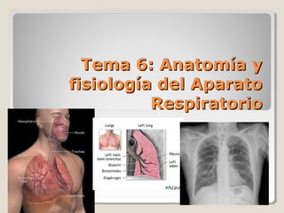 Tema 6: Anatomía y
fisiología del Aparato
Respiratorio

 