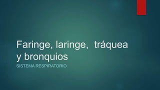 Faringe, laringe, tráquea 
y bronquios 
SISTEMA RESPIRATORIO 
 