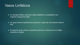 Vasos Linfáticos 
 Un drenaje linfático pulmonar doble establece un paralelismo con 
irrigación sanguínea doble. 
 Un grupo drena el parénquima pulmonar y sigue las vias aereas hasta el 
hilio. 
 El segundo grupo drena a superficie pulmonar y transcurre en el tejido 
conjuntivo visceral 
 