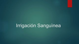 Irrigación Sanguìnea 
 