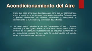  El aire que pasa a través de las vías aéreas tiene que ser acondicionado 
antes de que alcance las unidades respiratorias terminales. Este ocurre en 
la porción conductora del sistema respiratorio y comprende el 
calentamiento, la humectación y eliminación de partículas. 
 Las secreciones mucosas y serosas humedecen el aire y atrapan 
partículas que han logrado evadir los cilios de la cavidad nasal. El moco, 
producto de las glándulas mucosecretoras se encuentra aumentado por 
las secreciones serosas lo que evita la deshidratación del epitelio 
subyacente por el aire en movimiento. 
 