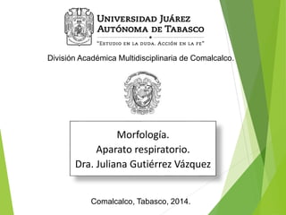 División Académica Multidisciplinaria de Comalcalco. 
Morfología. 
Aparato respiratorio. 
Dra. Juliana Gutiérrez Vázquez 
Comalcalco, Tabasco, 2014. 
 