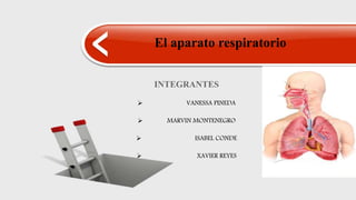 INTEGRANTES
 VANESSA PINEDA
 MARVIN MONTENEGRO
 ISABEL CONDE
 XAVIER REYES
El aparato respiratorio
 