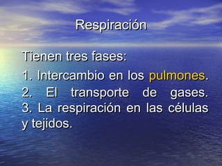 RespiraciónRespiración
Tienen tres fases:Tienen tres fases:
1. Intercambio en los1. Intercambio en los pulmonespulmones..
2. El transporte de gases.2. El transporte de gases.
3. La respiración en las células3. La respiración en las células
y tejidos.y tejidos.
 