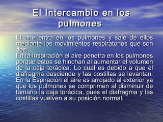 El Intercambio en losEl Intercambio en los
pulmonespulmones
El aire entra en los pulmones y sale de ellosEl aire entra en los pulmones y sale de ellos
mediante los movimientos respiratorios que sonmediante los movimientos respiratorios que son
dos:dos:
En la Inspiración el aire penetra en los pulmonesEn la Inspiración el aire penetra en los pulmones
porque estos se hinchan al aumentar el volumenporque estos se hinchan al aumentar el volumen
de la caja torácica. Lo cual es debido a que elde la caja torácica. Lo cual es debido a que el
diafragma desciende y las costillas se levantan.diafragma desciende y las costillas se levantan.
En la Espiración el aire es arrojado al exterior yaEn la Espiración el aire es arrojado al exterior ya
que los pulmones se comprimen al disminuir deque los pulmones se comprimen al disminuir de
tamaño la caja torácica, pues el diafragma y lastamaño la caja torácica, pues el diafragma y las
costillas vuelven a su posición normal.costillas vuelven a su posición normal.
 