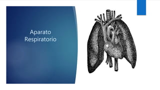 Aparato
Respiratorio
 