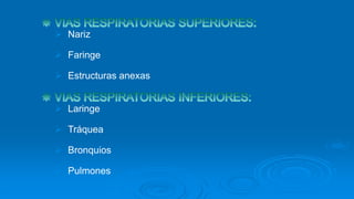  Nariz
 Faringe
 Estructuras anexas
 Laringe
 Tráquea
 Bronquios
 Pulmones
 