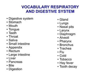VOCABULARY RESPIRATORY
AND DIGESTIVE SYSTEM
● Digestive system
● Stomach
● Mouth
● Tongue
● Teeth
● Throat
● Saliva
● Small intestine
● Appendix
● Rectum
● Large intestine
● Liver
● Pancreas
● Bile
● Digestion
● Gland
● Lungs
● Nasal pits
● Larynx
● Diaphragm
● Alveoli
● Pharynx
● Bronchus
● Trachea
● Flu
● Cold
● Tobacco
● Hay fever
● Tooth decay
 