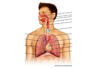 Fila 1 Fila 2 Fila 3 Fila 4
0
2
4
6
8
10
12
Columna 1
Columna 2
Columna 3
 
