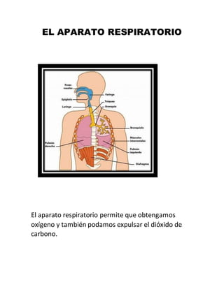 EL APARATO RESPIRATORIO
El aparato respiratorio permite que obtengamos
oxígeno y también podamos expulsar el dióxido de
carbono.
 