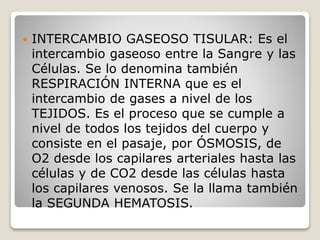  INTERCAMBIO GASEOSO TISULAR: Es el
intercambio gaseoso entre la Sangre y las
Células. Se lo denomina también
RESPIRACIÓN INTERNA que es el
intercambio de gases a nivel de los
TEJIDOS. Es el proceso que se cumple a
nivel de todos los tejidos del cuerpo y
consiste en el pasaje, por ÓSMOSIS, de
O2 desde los capilares arteriales hasta las
células y de CO2 desde las células hasta
los capilares venosos. Se la llama también
la SEGUNDA HEMATOSIS.
 