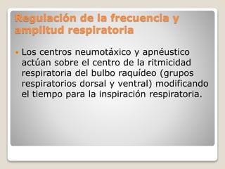 Regulación de la frecuencia y
amplitud respiratoria
 Los centros neumotáxico y apnéustico
actúan sobre el centro de la ritmicidad
respiratoria del bulbo raquídeo (grupos
respiratorios dorsal y ventral) modificando
el tiempo para la inspiración respiratoria.
 