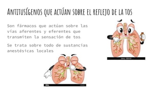 Broncodi APARATO RESPIRATORIO.pdf