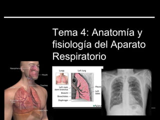 Tema 4: Anatomía y
fisiología del Aparato
Respiratorio
 