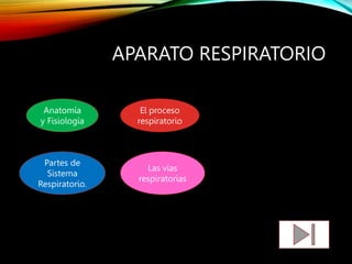 APARATO RESPIRATORIO
Anatomía
y Fisiología
Partes de
Sistema
Respiratorio.
El proceso
respiratorio
Las vías
respiratorias
 
