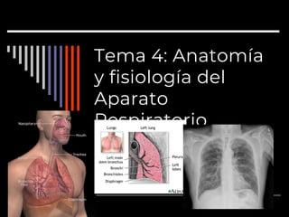 Tema 4: Anatomía
y fisiología del
Aparato
Respiratorio
 